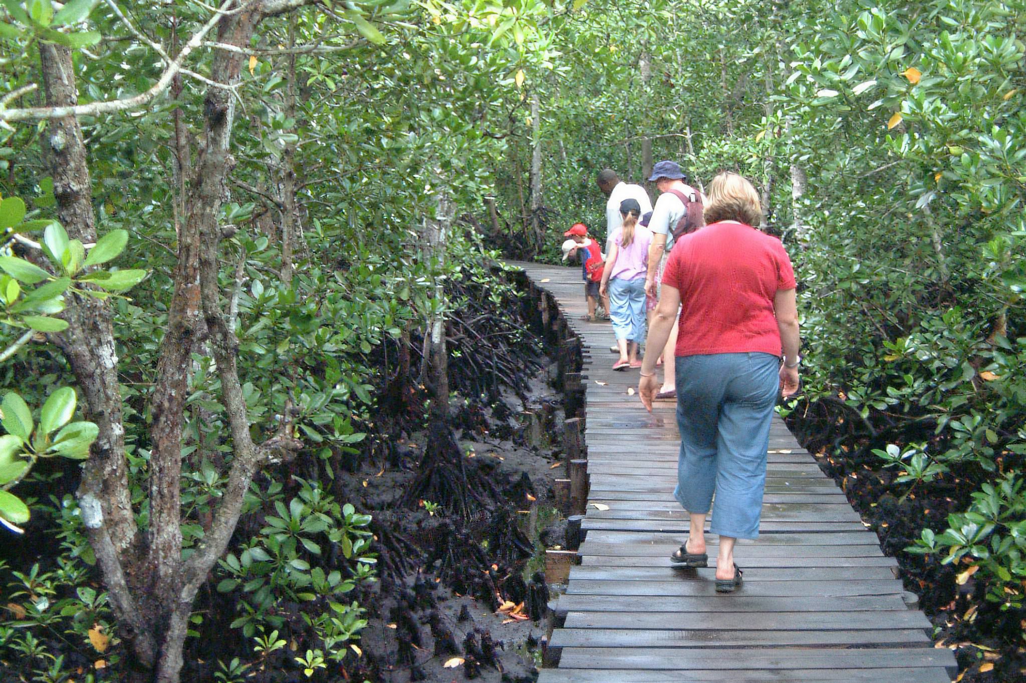Jozani Forest & Spice Farm Tour Package
