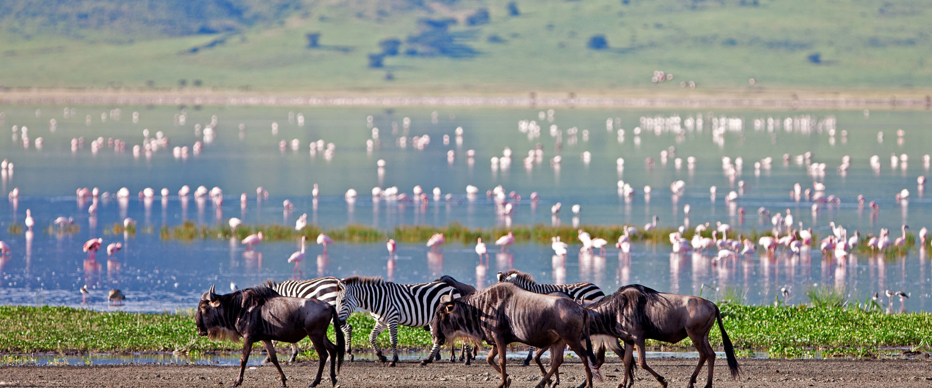 Ngorongoro Crater Safari