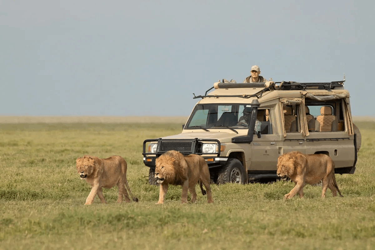 Ngorongoro Crater