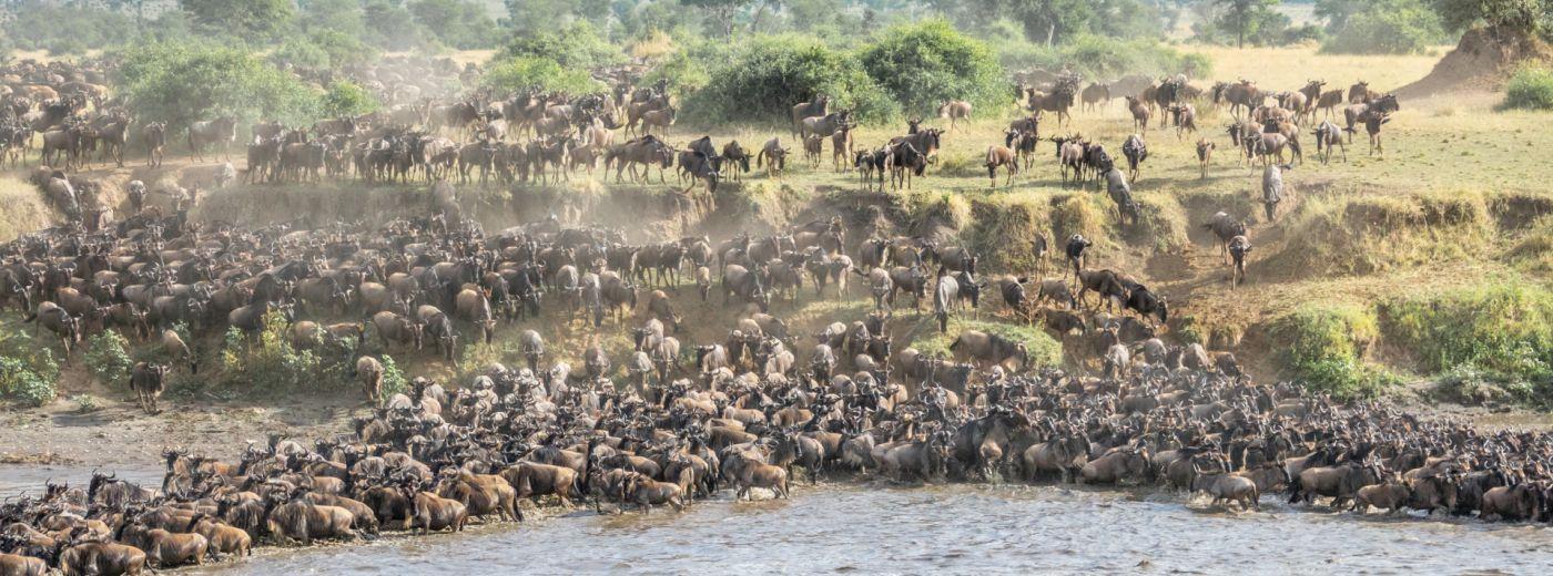 Great Migration