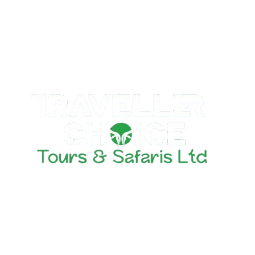 Traveller's Choice Logo